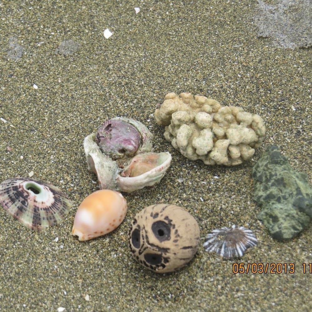 Meet your Posher, Lynda